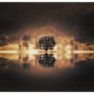 Meet your Posher, Jaymie